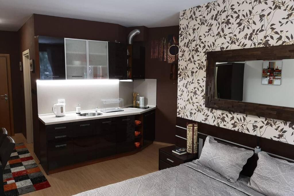 Studio 1 Iceberg Borovets Exterior foto